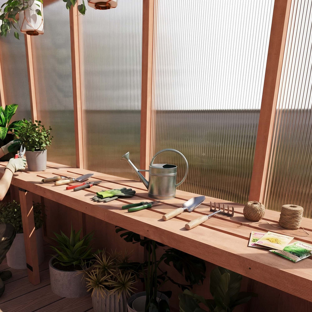 What Size Greenhouse Do I Need? A Buyer’s Guide